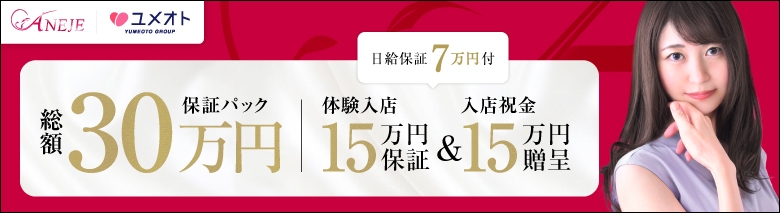 新宿アネージュ