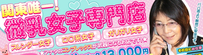 貧乳パラダイス