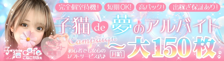 子猫カフェ