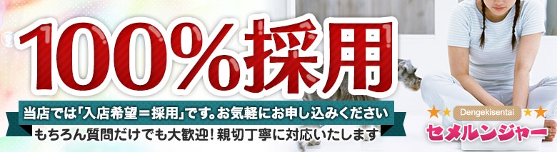 電撃戦隊セメルンジャー